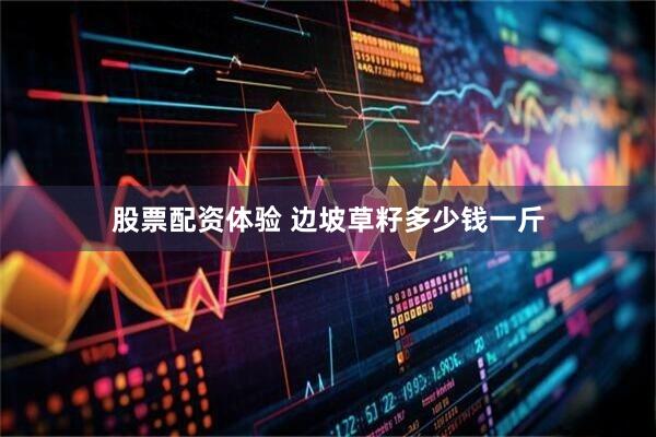 股票配资体验 边坡草籽多少钱一斤